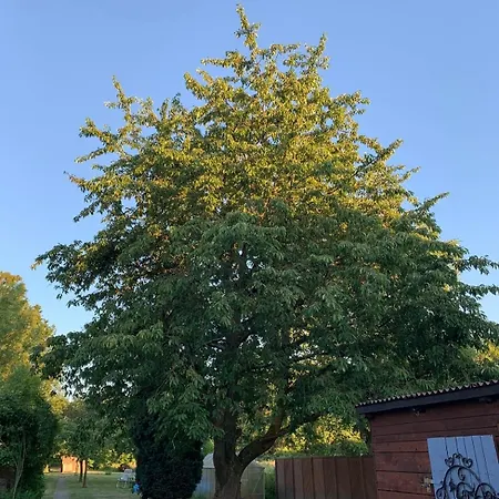 Am Waldrand Mit Grossem Garten 公寓