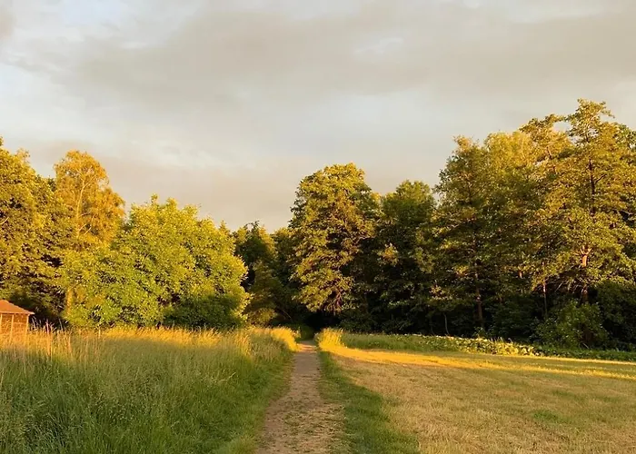 Am Waldrand Mit Grossem Garten *
