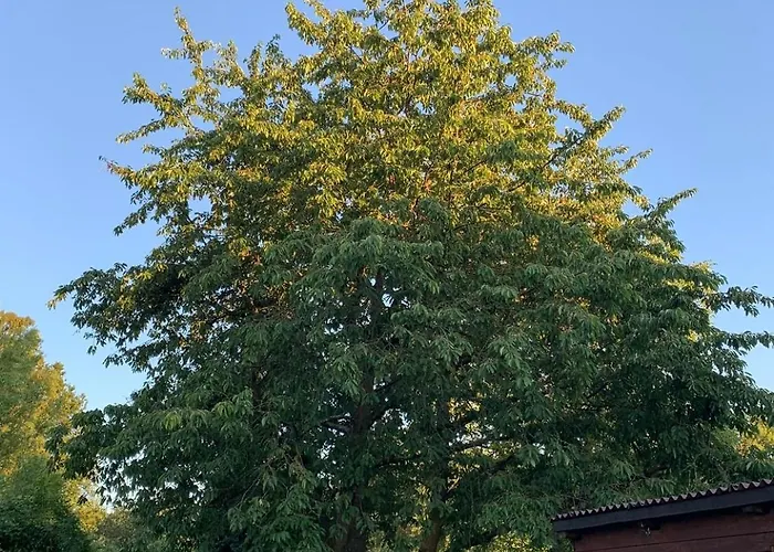 Am Waldrand Mit Grossem Garten アパート